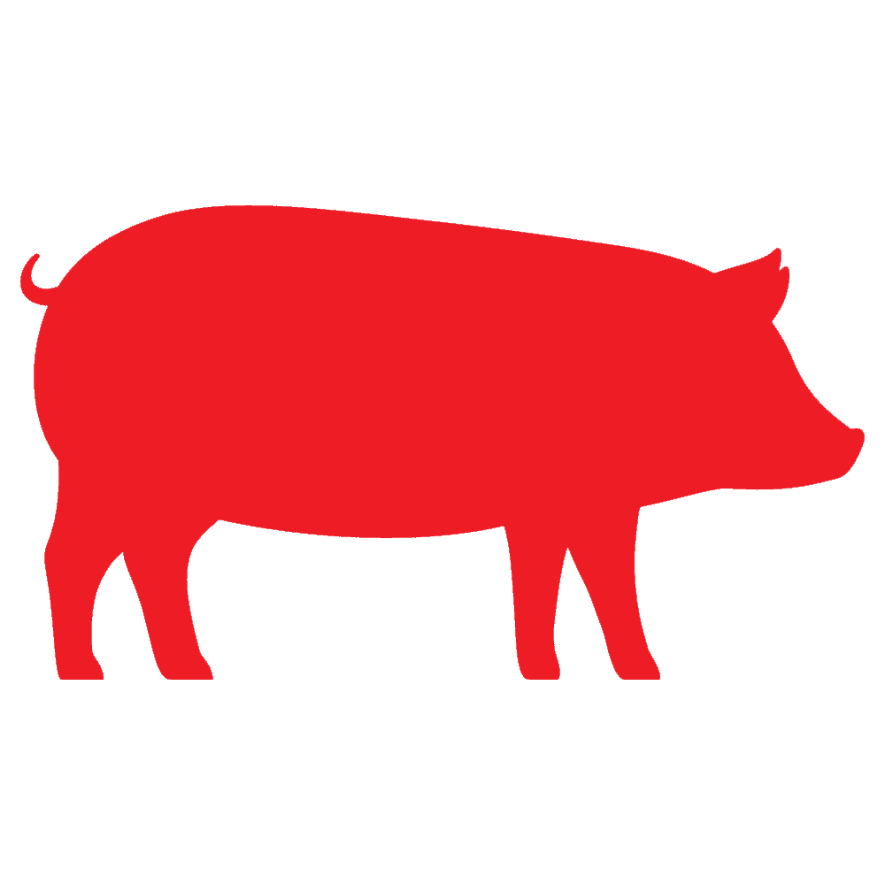 Pork